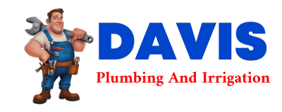 Trusted plumber in LA VERNIA